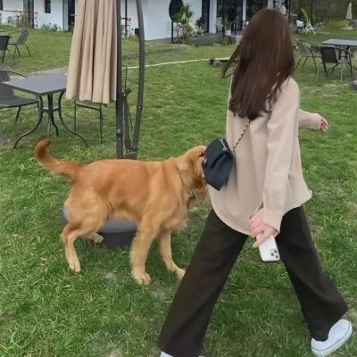 以恶之名